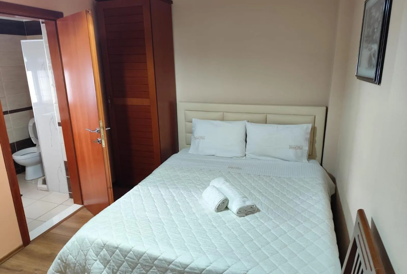 Hotel Theo Korça 0*,